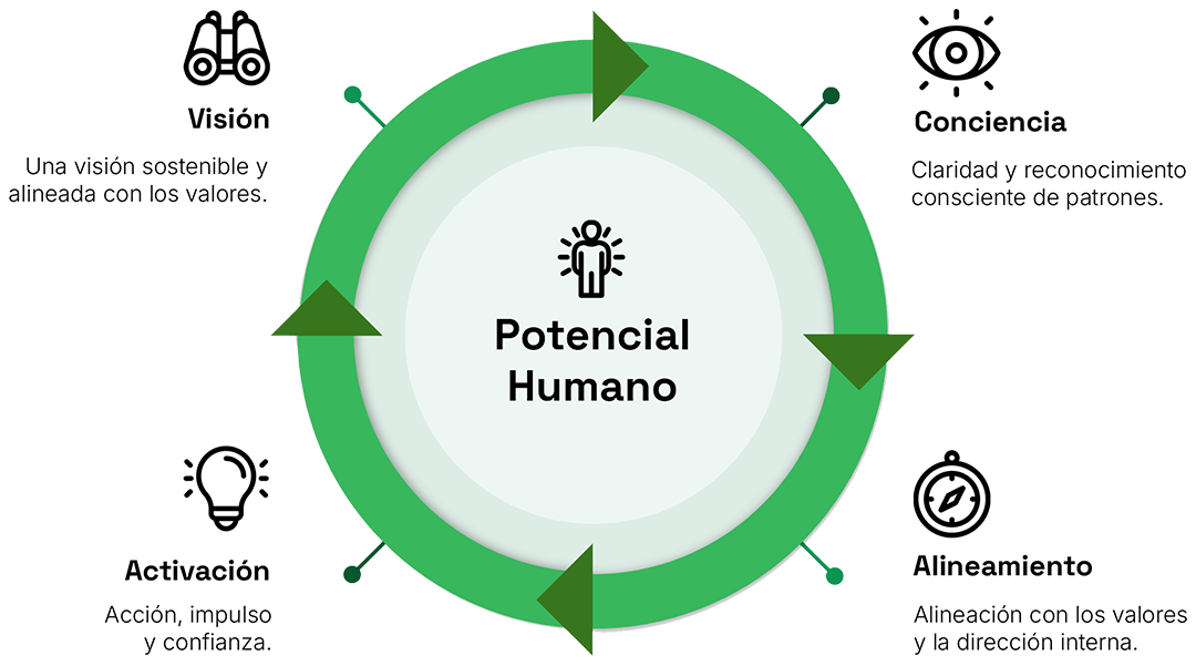 Ciclo del método de coaching Dara Ciclo del método de coaching Dara